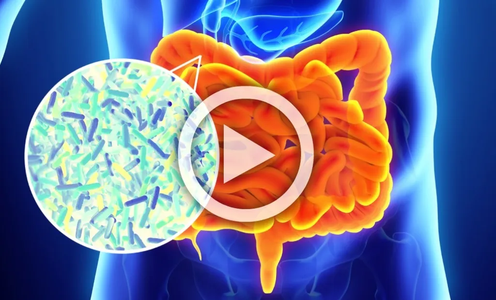 Bloating, Diarrhea, GERD, or Constipation? It's Not Your Fault, Watch This