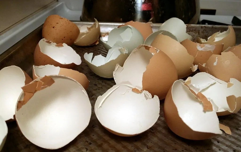 The Best Thing to Do with Eggshells